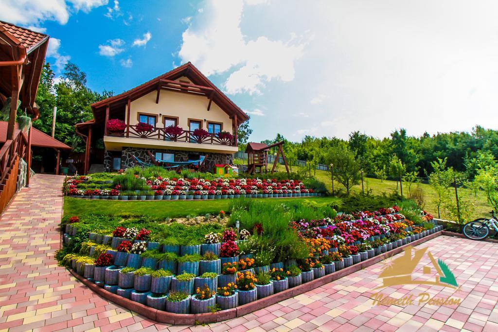 Nemeth Resort Совата Екстер'єр фото